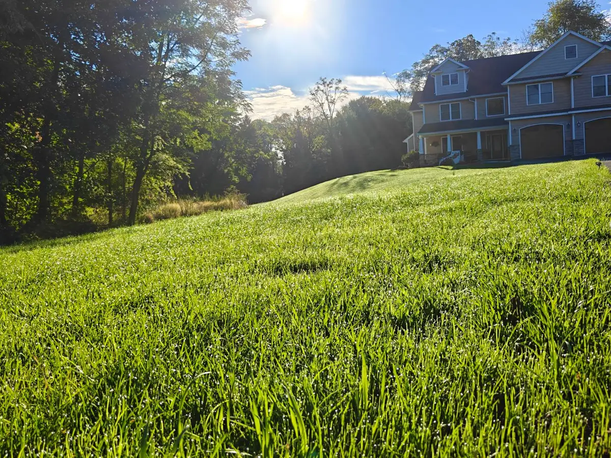 A healthy green lawn rising toward a two-story home, maintained by O. A. Thomas Landscaping